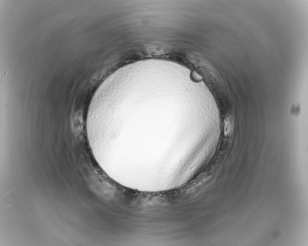 X0000093601011200711051153