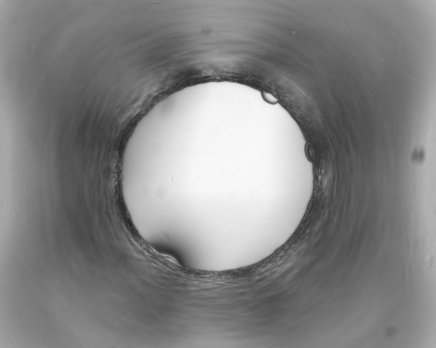 X0000093601012200711051153