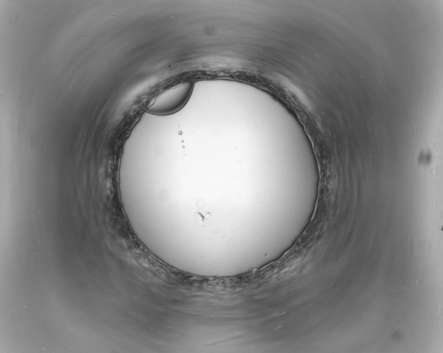 X0000093601016200711051154