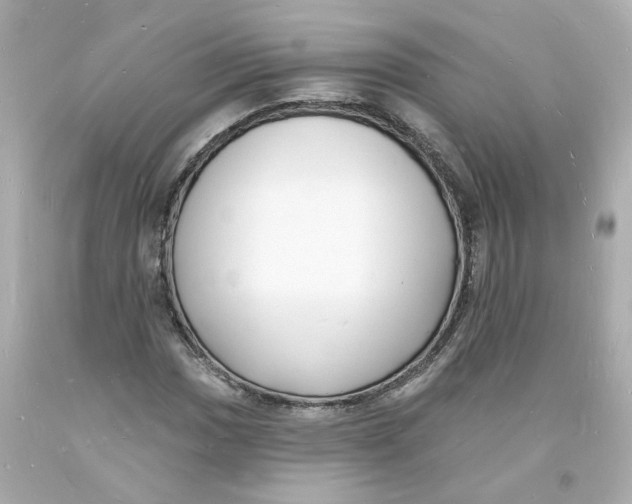 X0000093601017200711051154