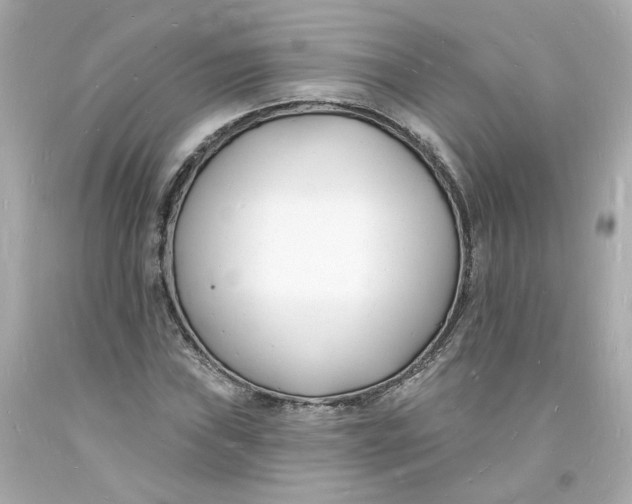 X0000093601019200711051154