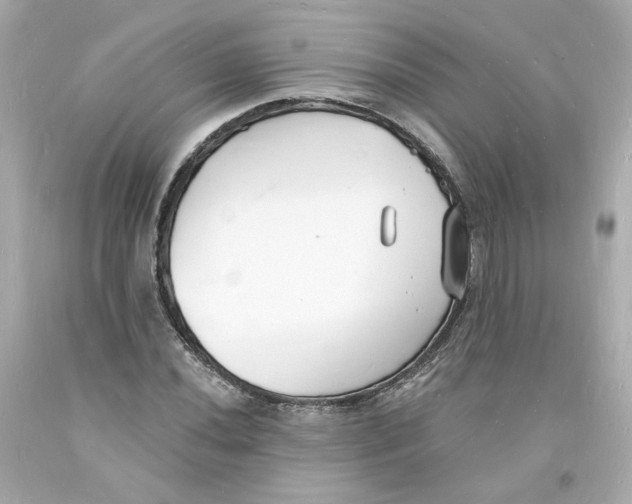 X0000093601020200711051154