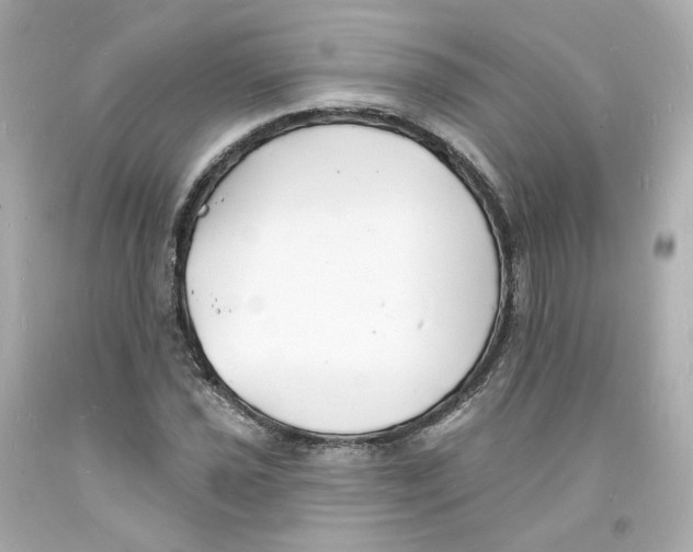 X0000093601021200711051154