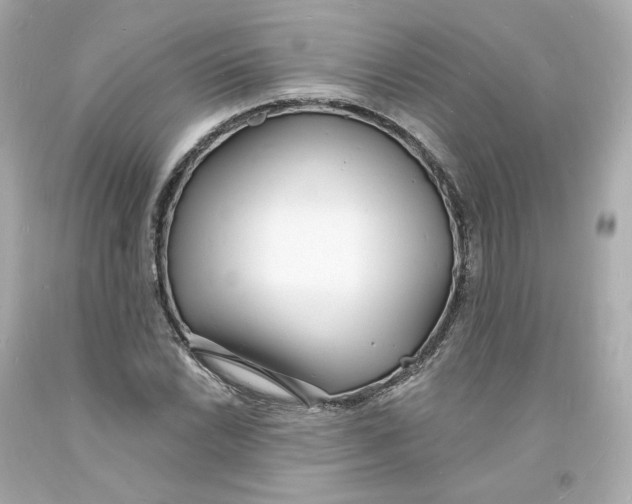 X0000093601022200711051154