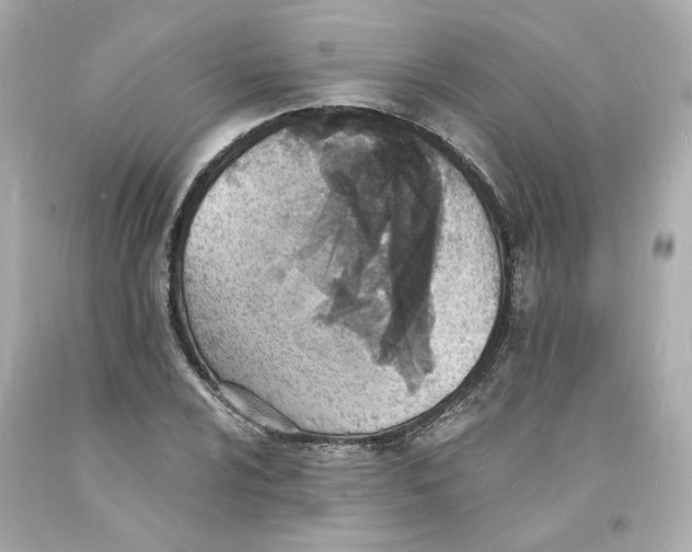 X0000093601024200711051154