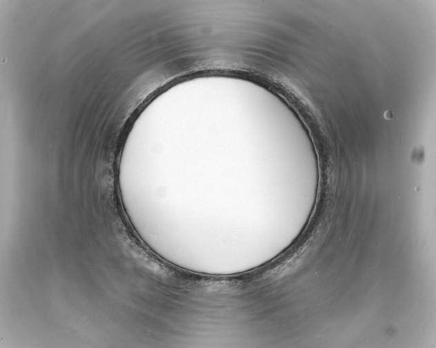 X0000093601025200711051154