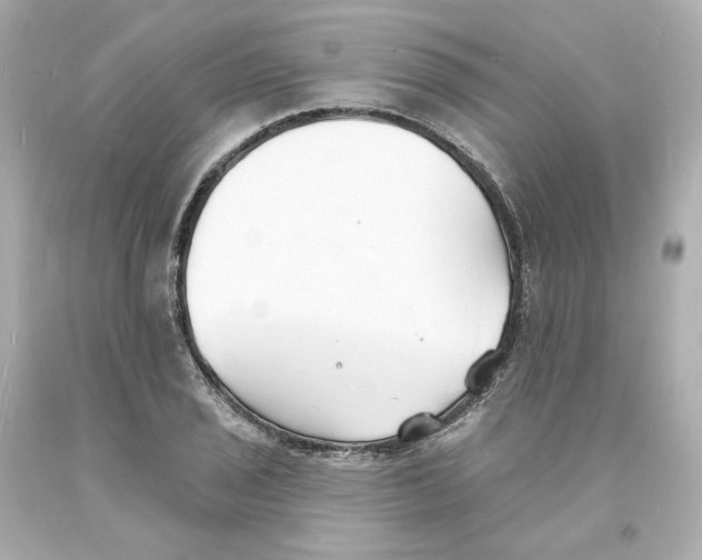 X0000093601029200711051154