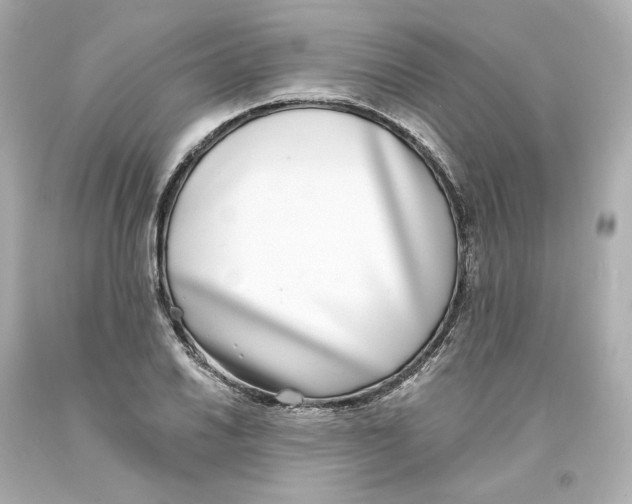 X0000093601030200711051154