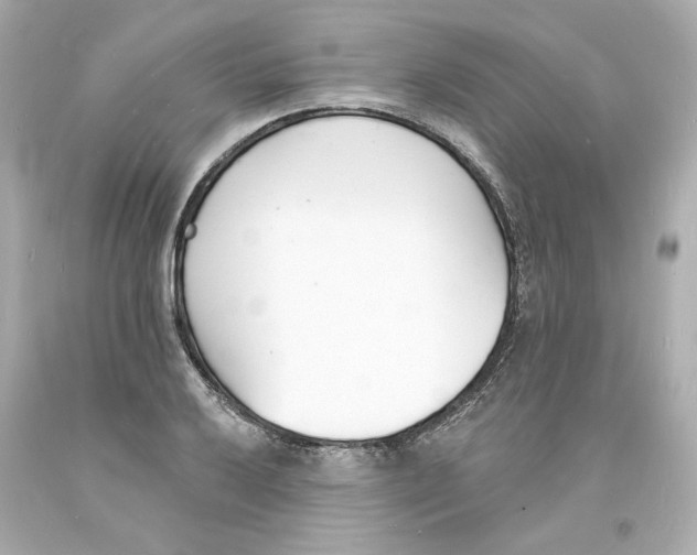 X0000093601032200711051154