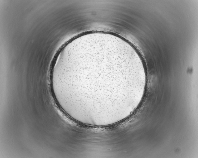 X0000093601037200711051154