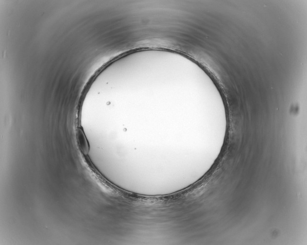 X0000093601040200711051154