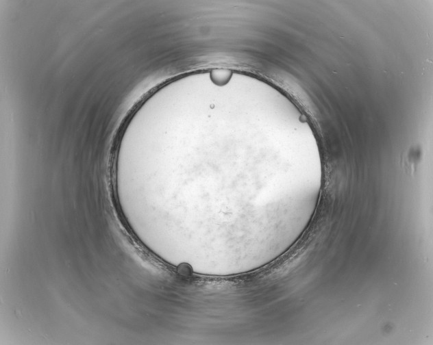 X0000093601043200711051154