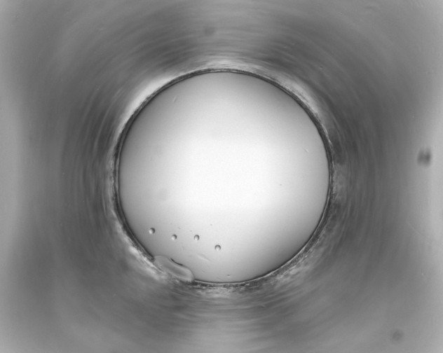 X0000093601048200711051154