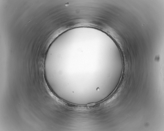 X0000093601049200711051154