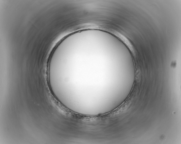 X0000093601051200711051154