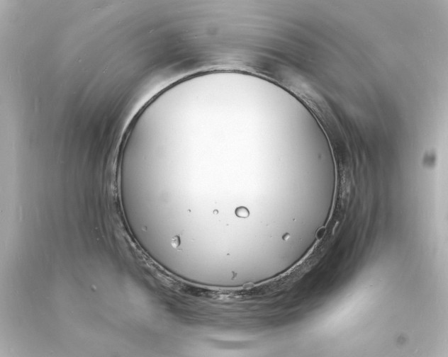 X0000093601052200711051154