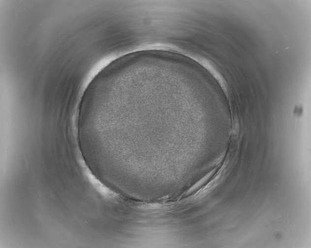 X0000093601054200711051154