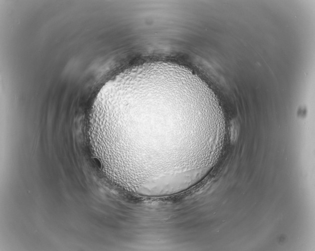 X0000093601059200711051153