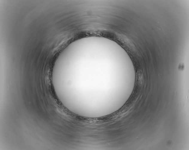 X0000093601060200711051153