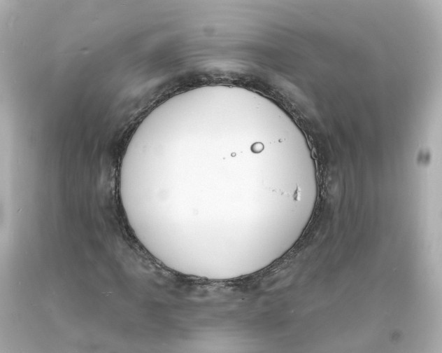 X0000093601061200711051153