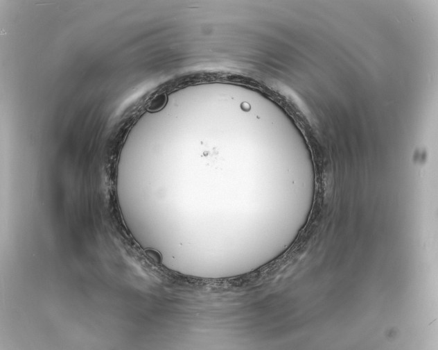 X0000093601064200711051153