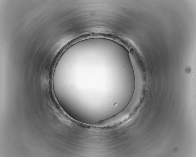 X0000093601065200711051153