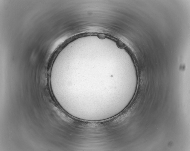 X0000093601067200711051153