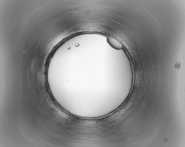 X0000093601071200711051153