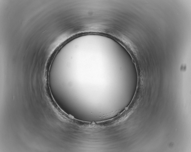 X0000093601077200711051153