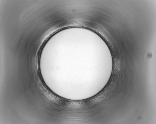 X0000093601078200711051153