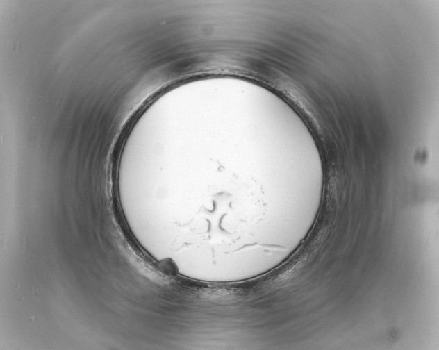 X0000093601082200711051153