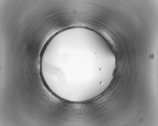 X0000093601084200711051153