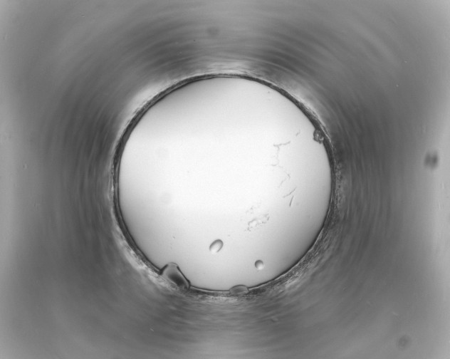 X0000093601088200711051153