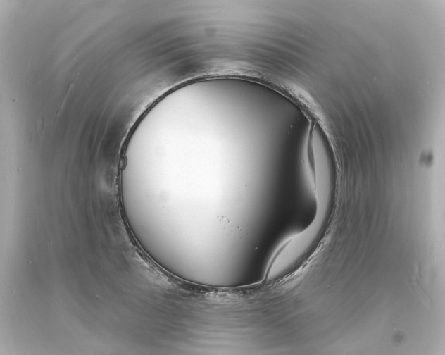 X0000093601089200711051153