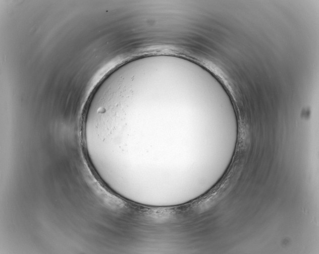 X0000093601090200711051153