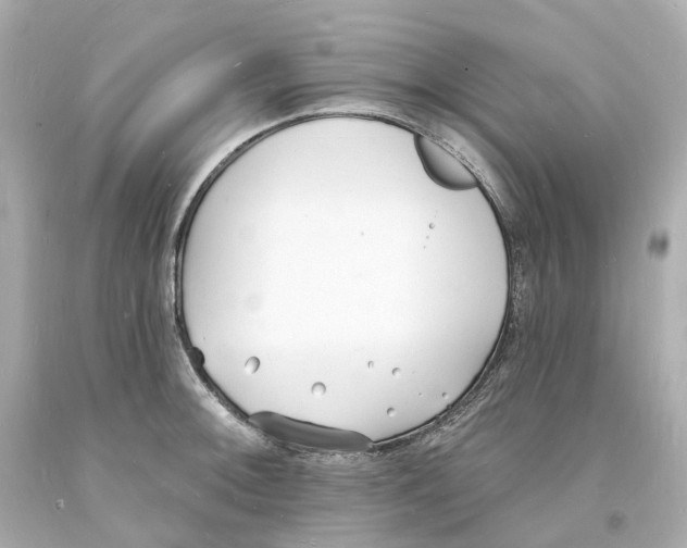 X0000093601092200711051153