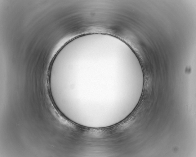 X0000093601094200711051153