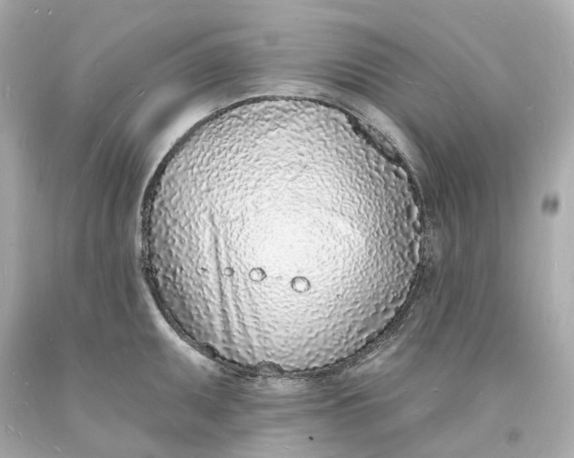 X0000093601095200711051153