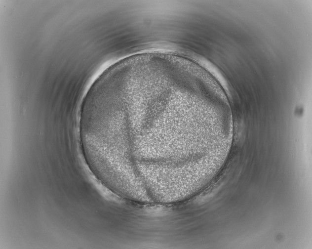 X0000093601099200711051153