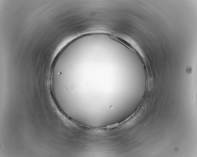 X0000093601101200711051153