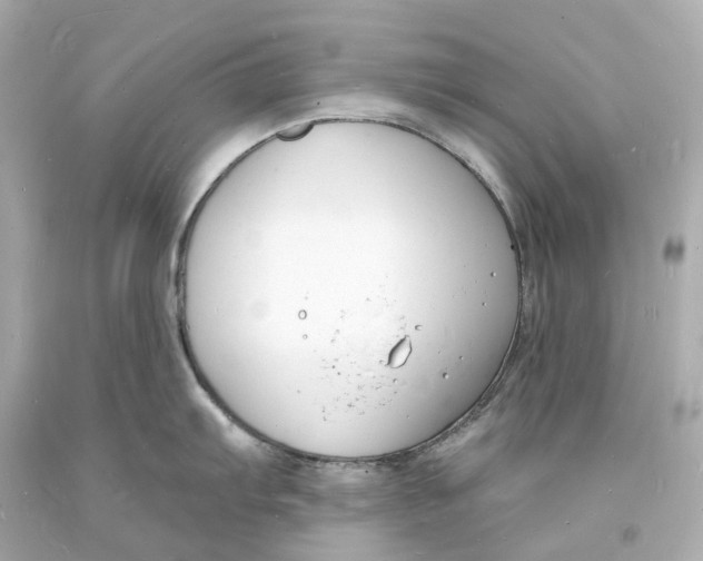 X0000093601103200711051153