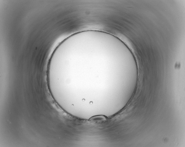 X0000093601104200711051153