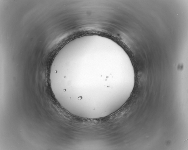 X0000093601111200711051152