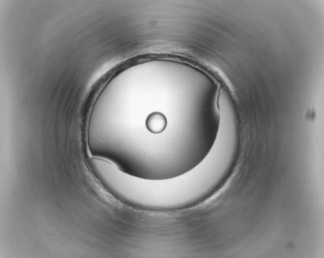 X0000093601114200711051152