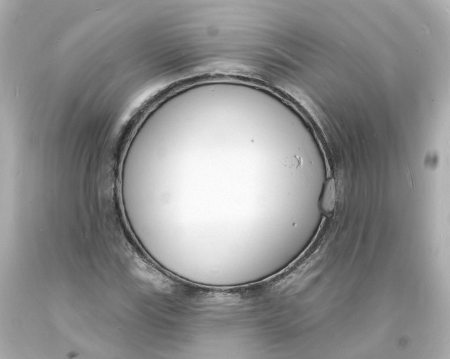 X0000093601115200711051152