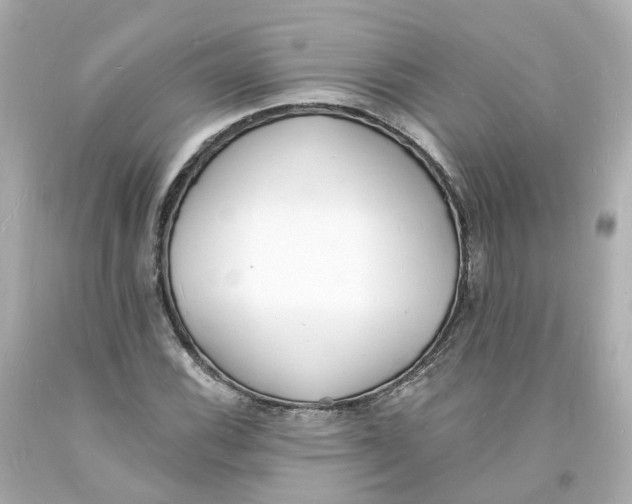 X0000093601116200711051152