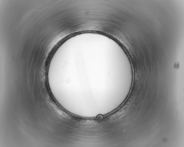 X0000093601119200711051152