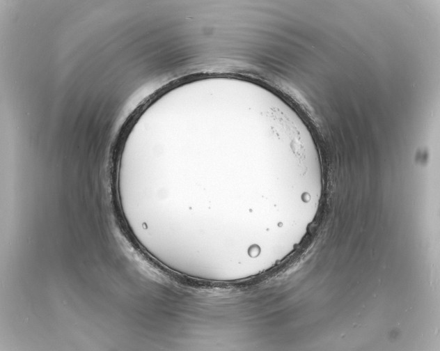 X0000093601122200711051152