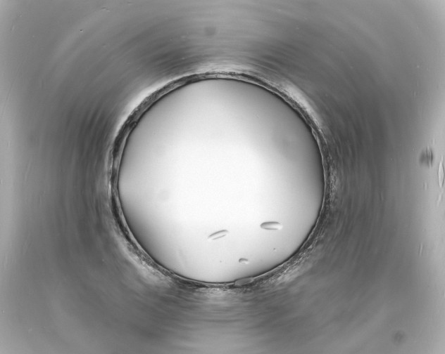 X0000093601124200711051152