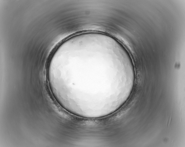 X0000093601125200711051153